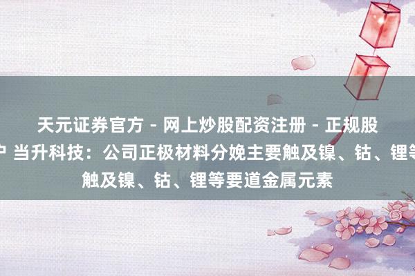 天元证券官方 - 网上炒股配资注册 - 正规股票怎么杠杆开户 当升科技：公司正极材料分娩主要触及镍、钴、锂等要道金属元素