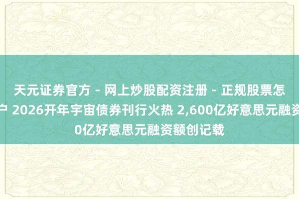 天元证券官方 - 网上炒股配资注册 - 正规股票怎么杠杆开户 2026开年宇宙债券刊行火热 2,600亿好意思元融资额创记载