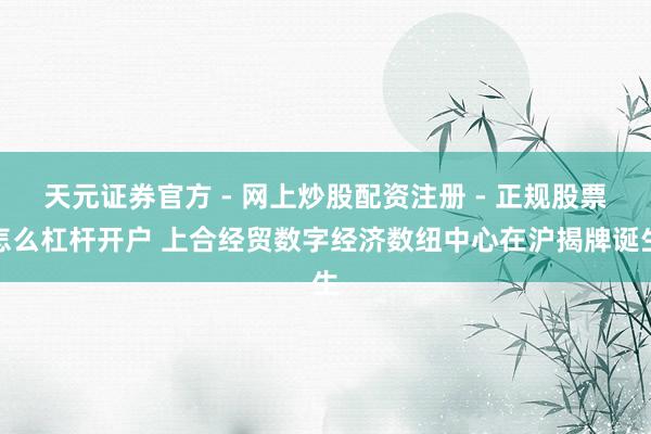 天元证券官方 - 网上炒股配资注册 - 正规股票怎么杠杆开户 上合经贸数字经济数纽中心在沪揭牌诞生